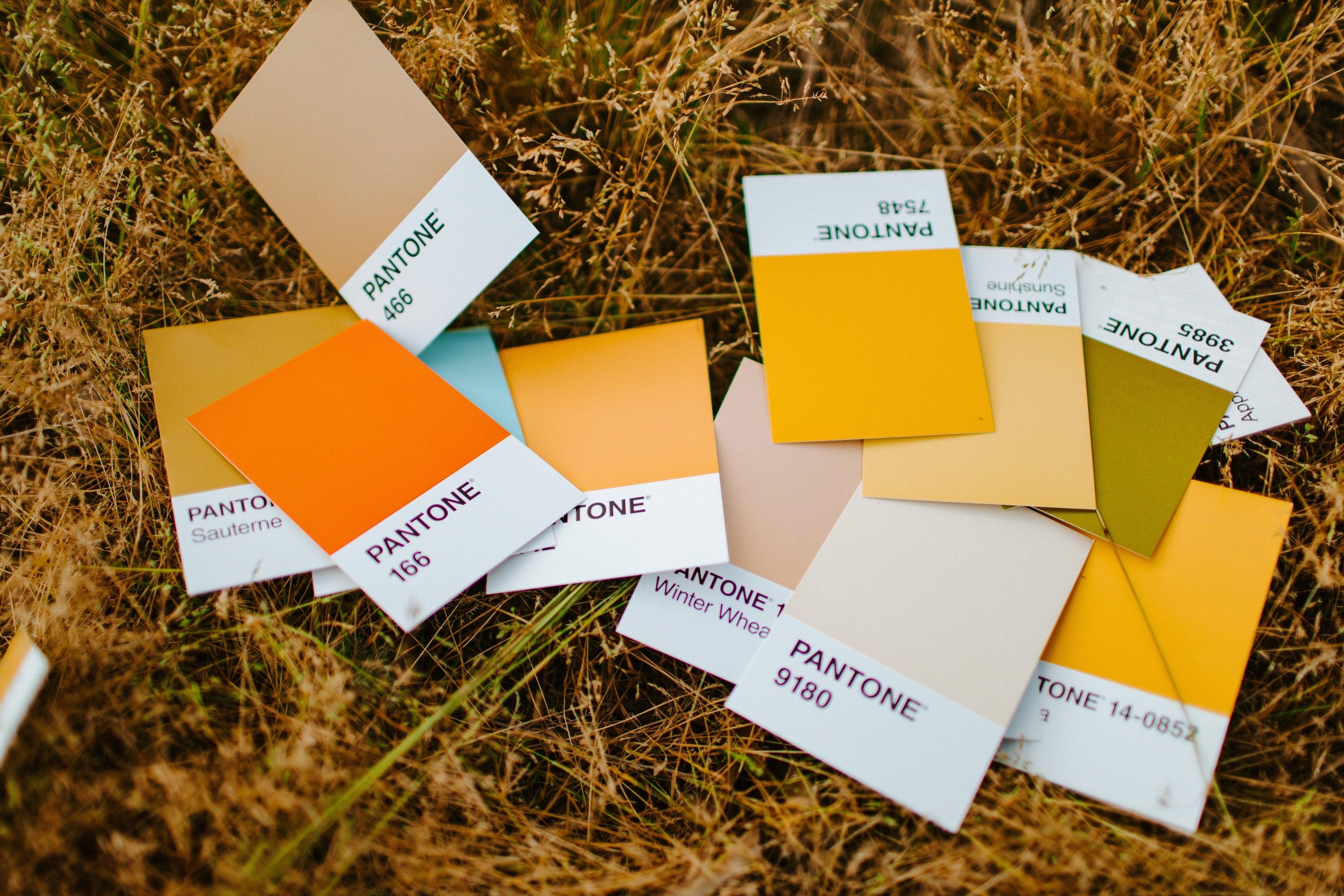 The Era of Customization: The Impact of Personalized Products - Cozmo